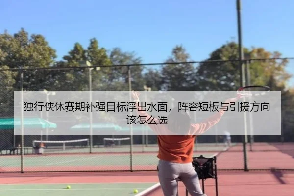 独行侠休赛期补强目标浮出水面，阵容短板与引援方向该怎么选（manguantiyu）