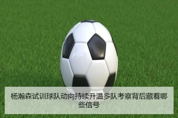 img_1781849250907_8_1_395.jpg